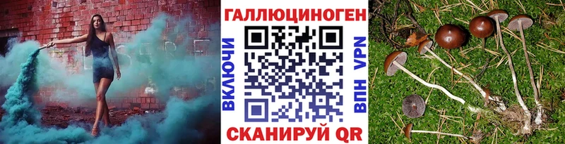 OMG tor Сортавала Галлюциногенные грибы Psilocybe
