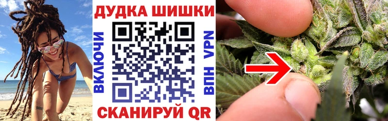 наркотики  Сортавала  Каннабис тримм 
